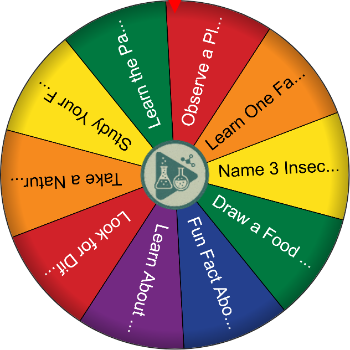🌿 Biology Adventure - Spinzywheel 🧬