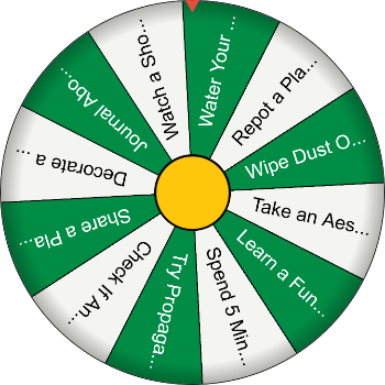 🌱 Gardening Challenge - Spinzywheel 🌱