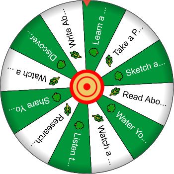 🌳🌿 Plant Species Explorer - Spinzywheel 🌳🌿