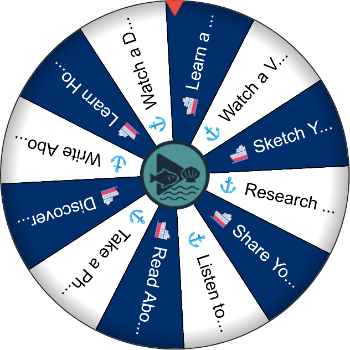 🚢⚓ Boat &amp; Ship Explorer - Spinzywheel 🚢⚓