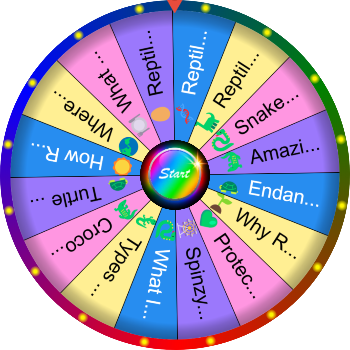 🌀 What Is a Reptile SpinzyWheel 🐍🐢🦎🌀