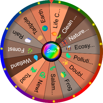 🌀 What Is an Amphibian? SpinzyWheel🌀