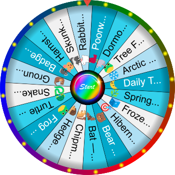 🌀 What Is Hibernation? SpinzyWheel🌀