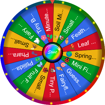 🌀 What Is the Smallest Insect You Know? SpinzyWheel🌀