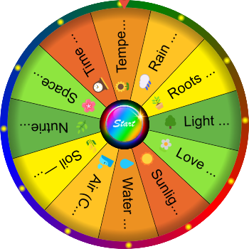 🌀 What Do Plants Need to Grow? SpinzyWheel 🌀