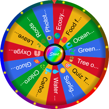 🌀 What Is Photosynthesis? SpinzyWheel🌀