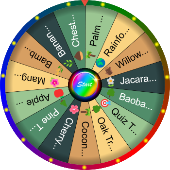 🌀 Name a Tree You Know SpinzyWheel 🌀