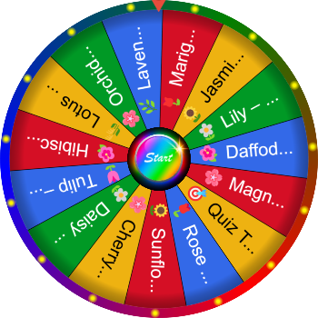 🌀 What Is a Flower’s Job? SpinzyWheel 🌀