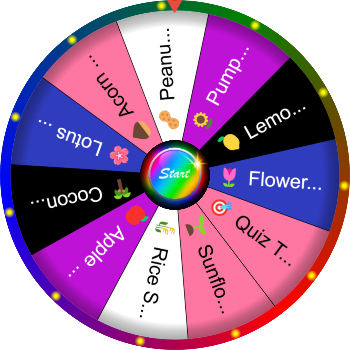 🌀 What Is a Seed? SpinzyWheel 🌀