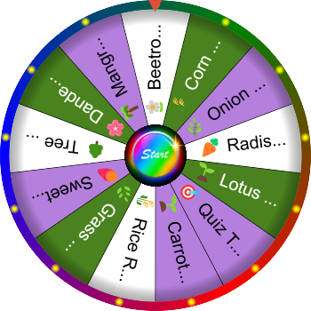 🌀ChatGPT đã nói:  What Is a Root? SpinzyWheel 🌀