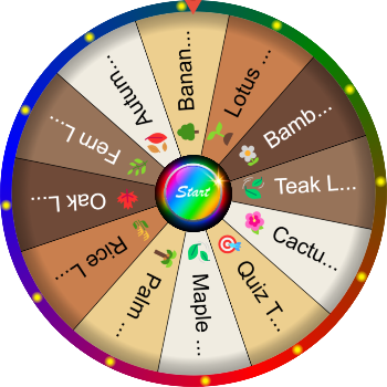 🌀 What Is a Leaf’s Function? SpinzyWheel 🌀