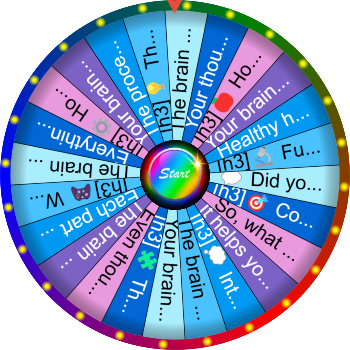 🌀 🧠 What Does the Brain Control? — SpinzyWheel🌀