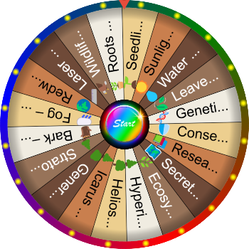 🌀What Is the Tallest Tree in the World? SpinzyWheel🌀