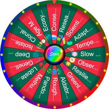 🌀 What Is the Oldest Living Creature? SpinzyWheel 🌀