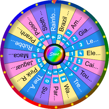 🌀🌿 What Is the Amazon Rainforest? SpinzyWheel🌀