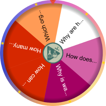 The Wheel Decided for Us