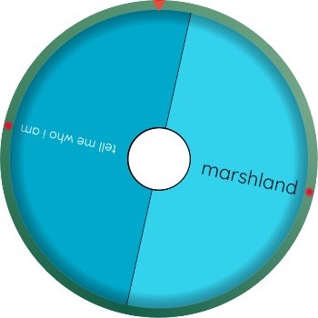 Random Name Picker: tell me who i am, marshland uc0q