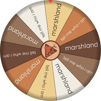 Random Name Picker: marshland, tell me who i am, marshland uzde