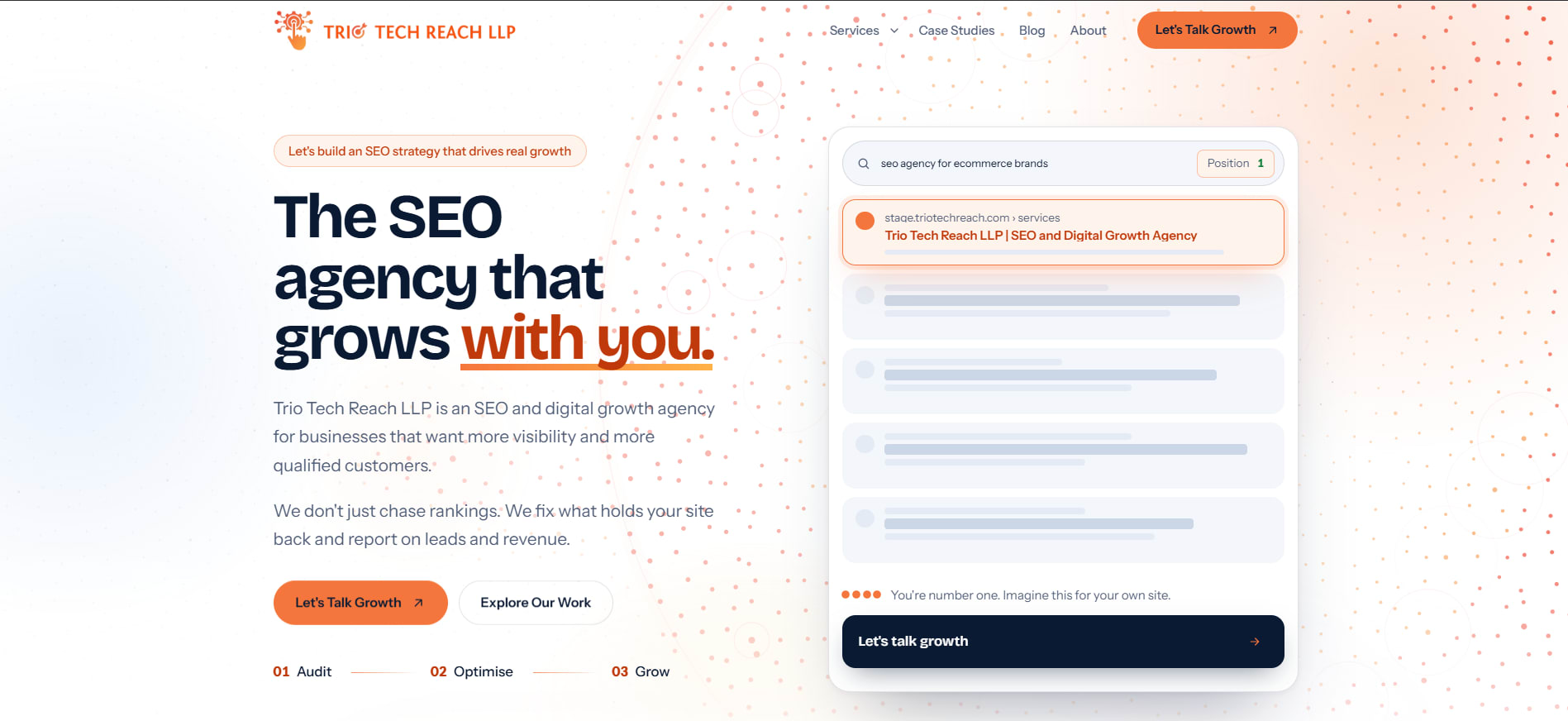 TrioTechReach Website project preview