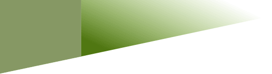 Background Decoration