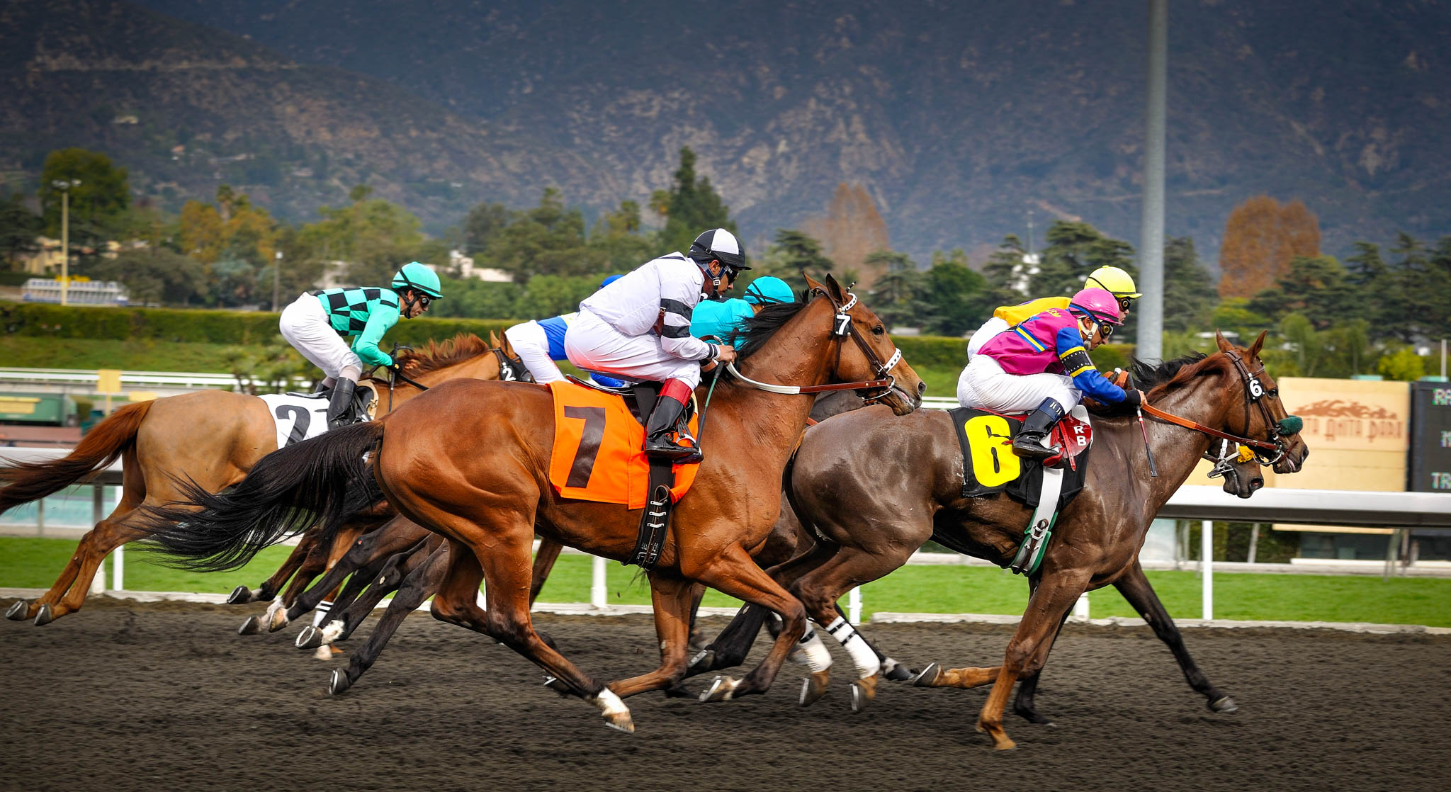 Santa Anita Park