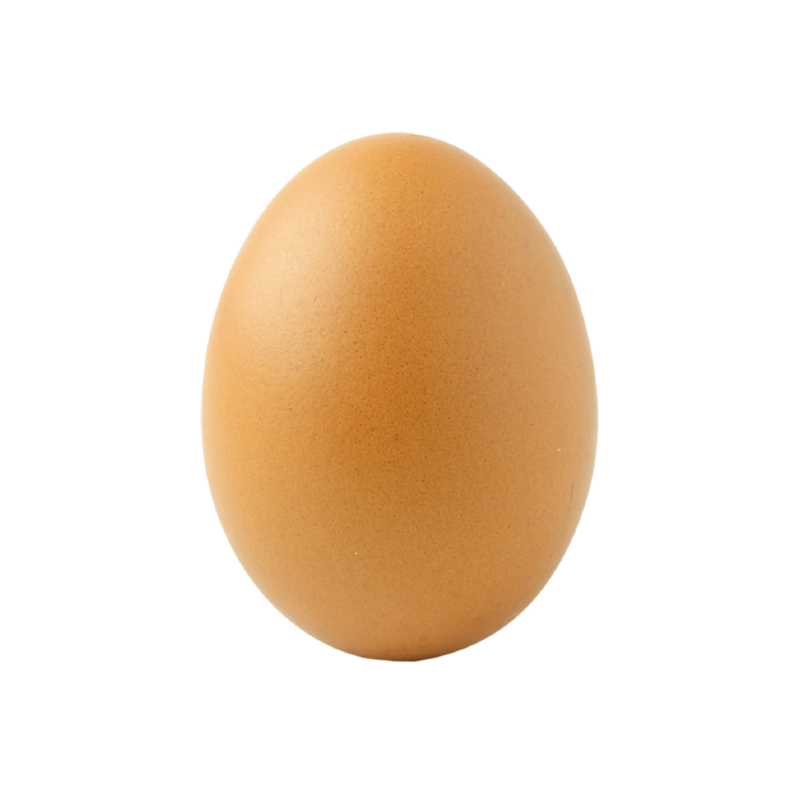 Hard Boiled Egg