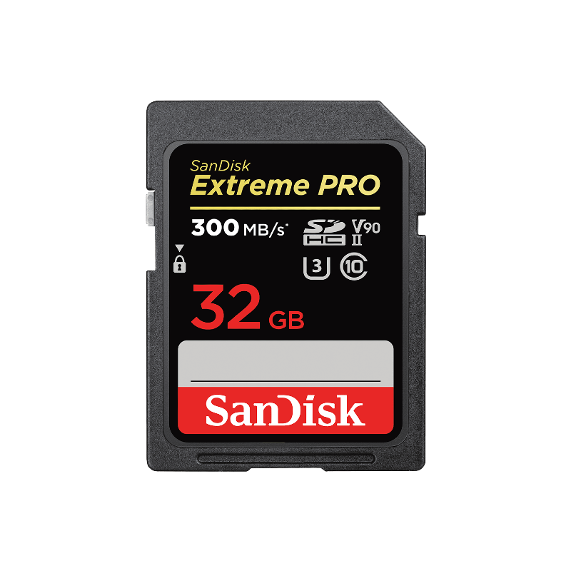 SD Card