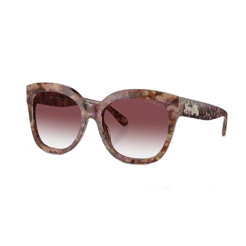 Coach Sunglasses