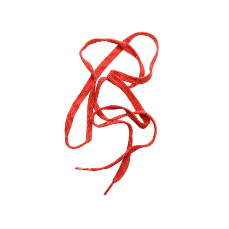 Shoelace