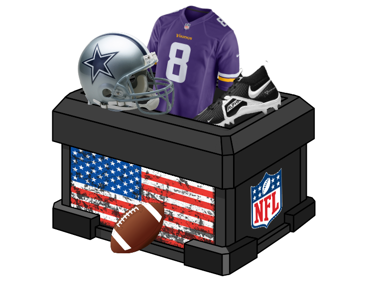 NFL Fanatic