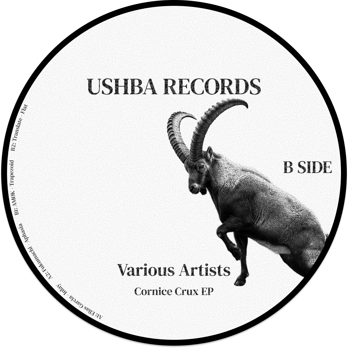 Cornice Crux [USH-VA001] Side B