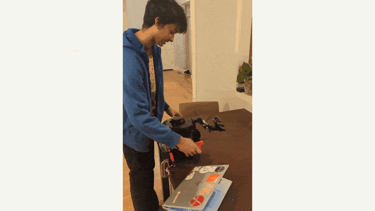 Innate GIF
