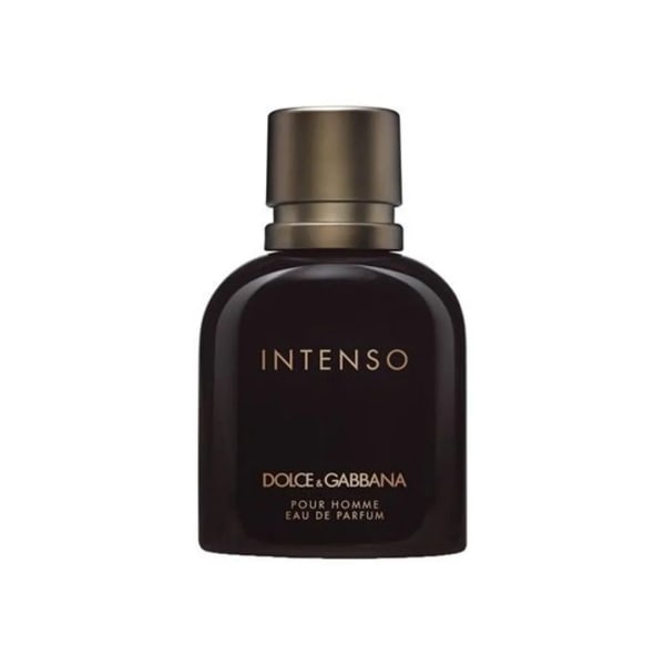 Dolce & Gabbana Pour Homme Intenso — Masculinos