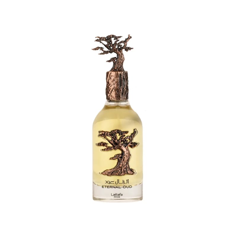 Lattafa Eternal Oud (alternativa Grand Soir Mfk) — Ofertas