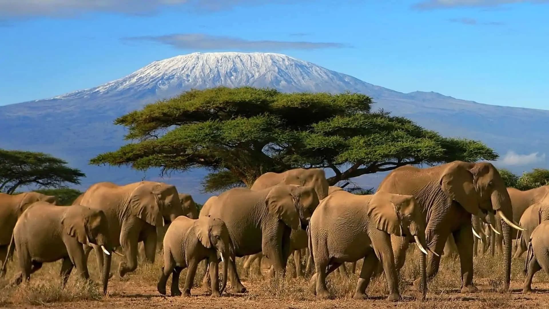 Tanzania