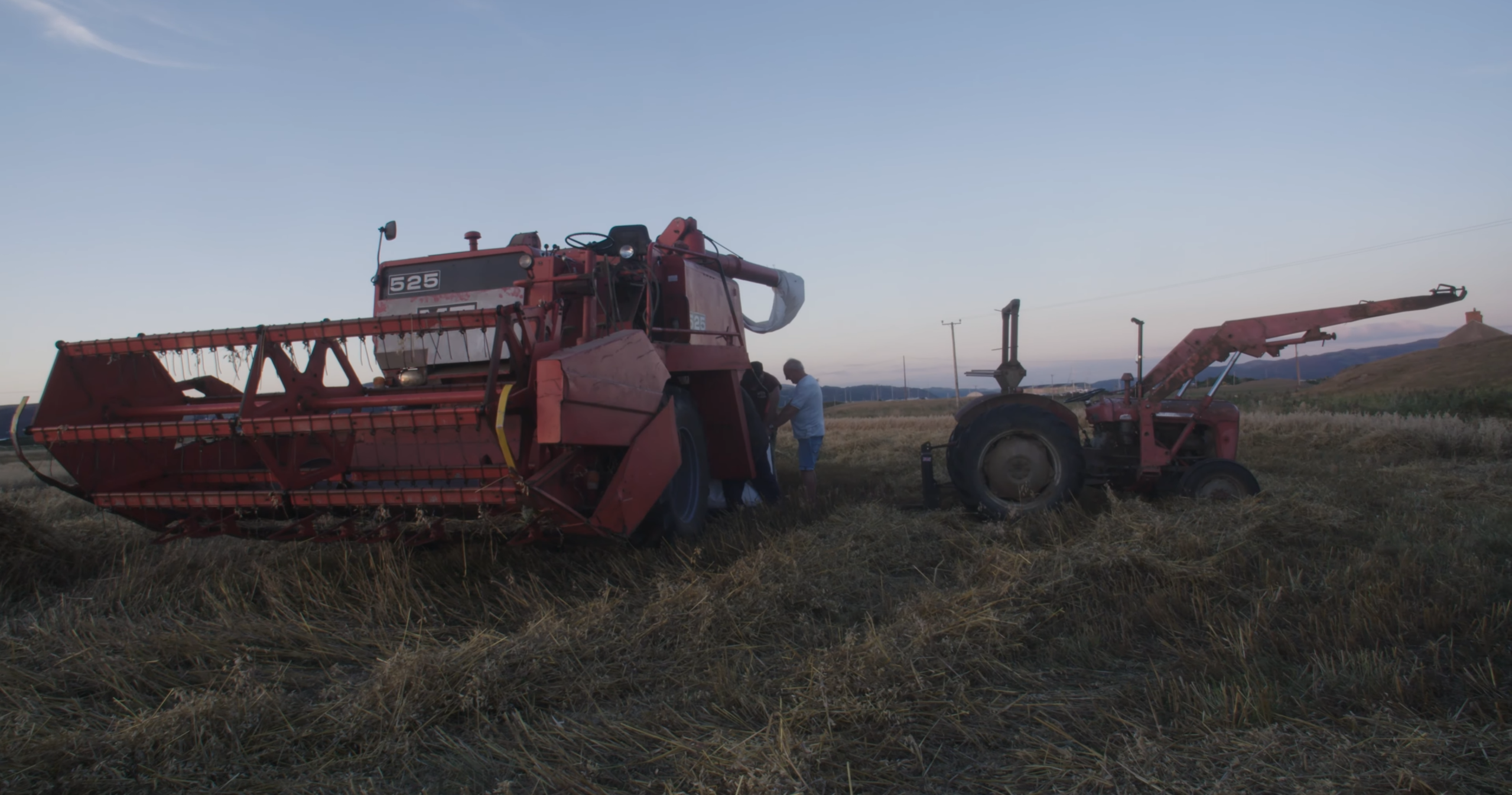 Environment and Ecology