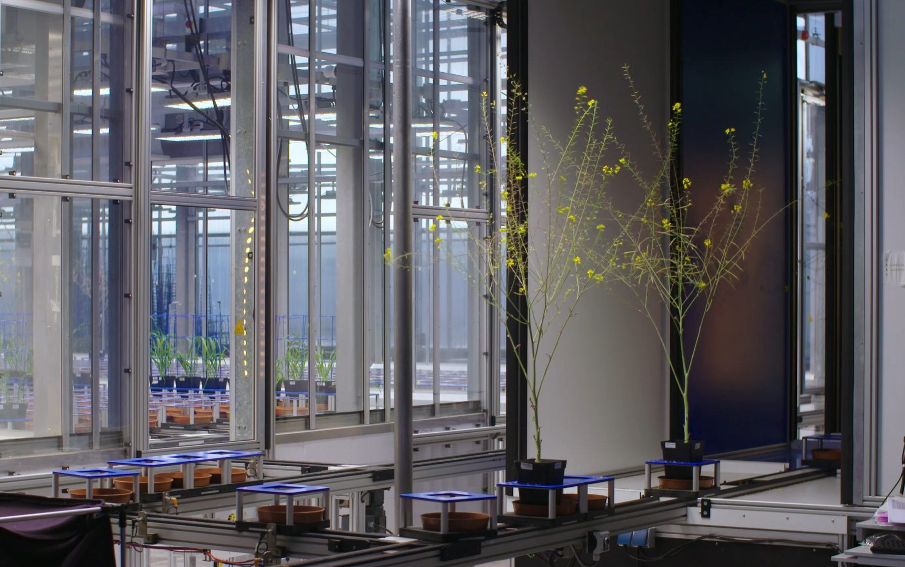 Education and Research