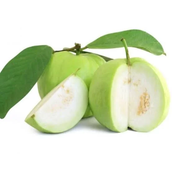 अमरुद (Guava)