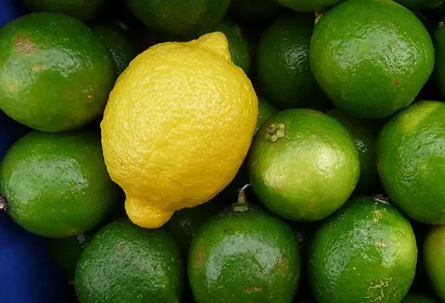 नींबू(lemon)