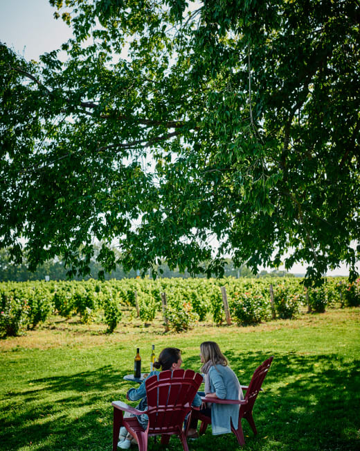 La Route des vins Brome-Missisquoi, un voyage au cœur du terroir québécois
