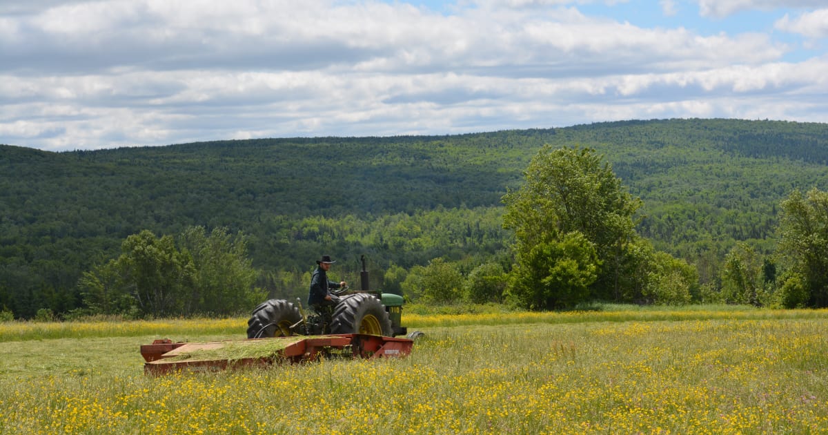 CaJoler | Québec Vacances