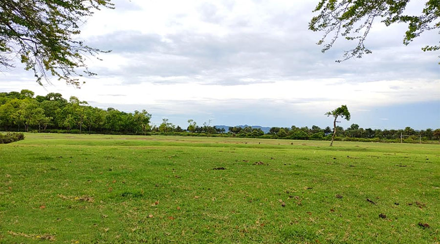 নডালিয়া সমুদ্র সৈকত