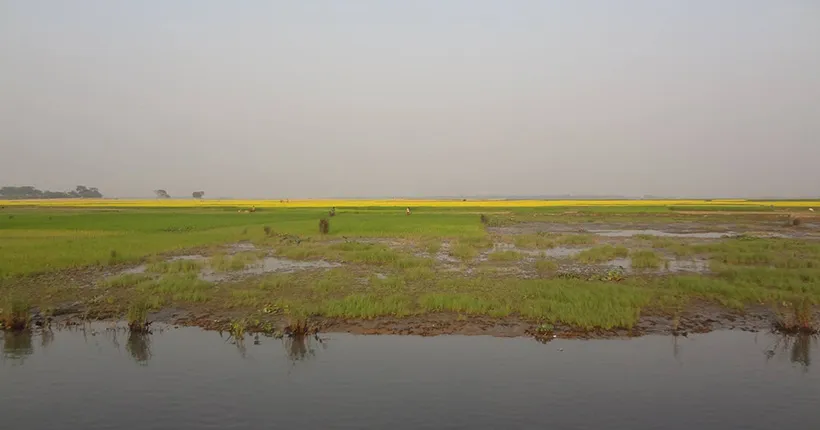Araihazar, Narayanganj (চৌদ্দার চর, আড়াইহাজার)