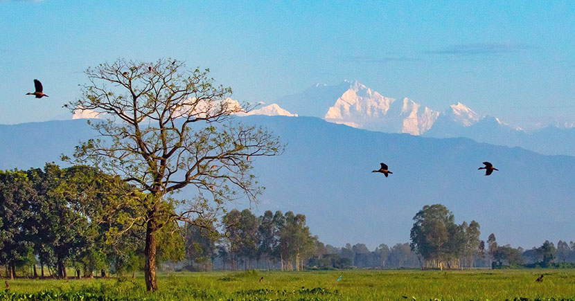 পঞ্চগড় এর তেতুলিয়া থেকে কাঞ্চনজঙ্ঘা