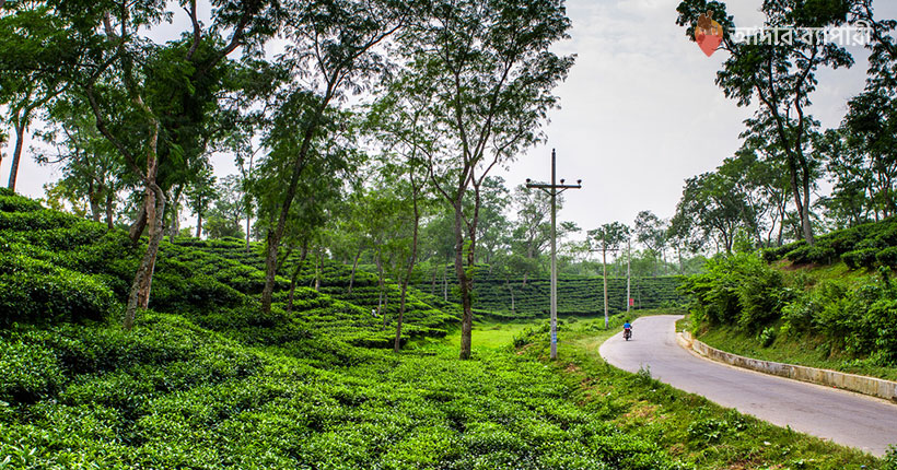 মাধবপুর লেক