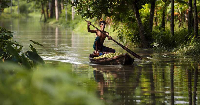ভাসমান পেয়ারা বাজার