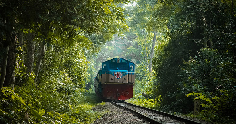 লাউয়াছড়া জাতীয় উদ্যান