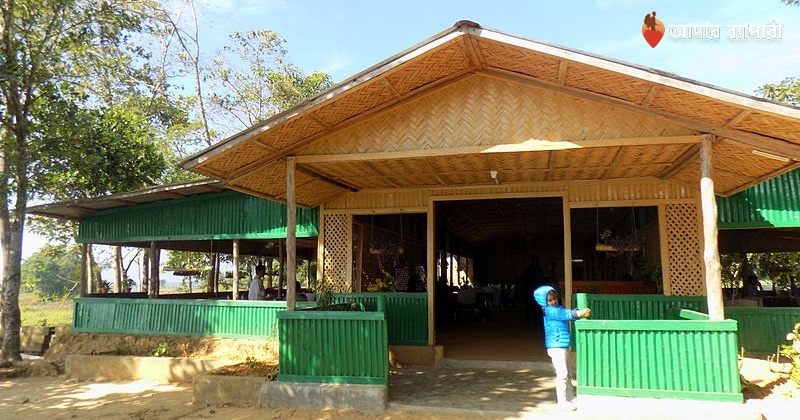 পেদা টিং টিং