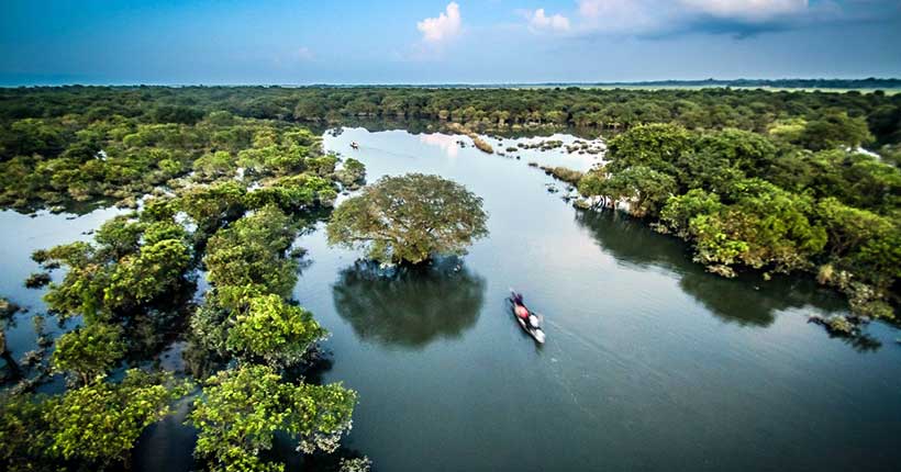 Ratargul Swamp Forest (রাতারগুল সোয়াম্প ফরেস্ট)