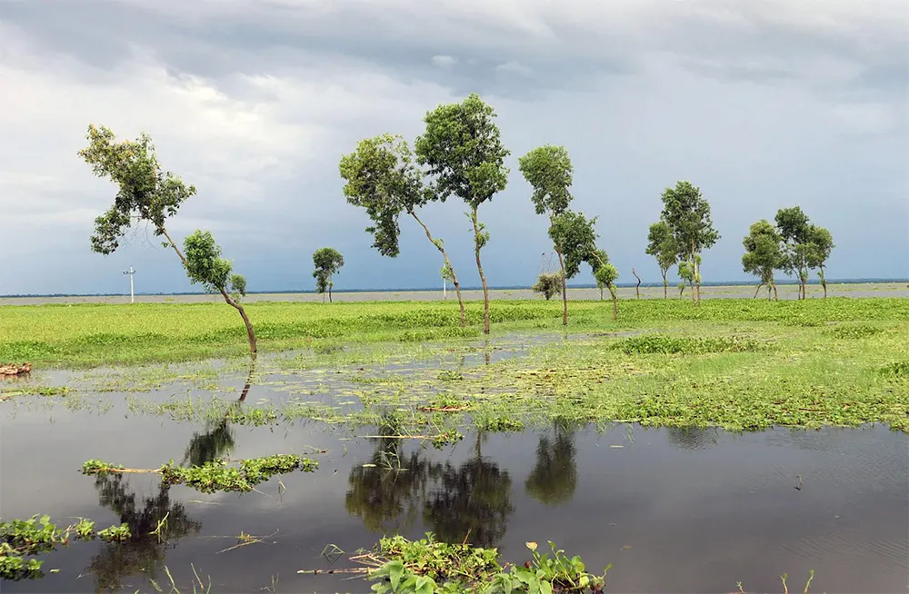 কাওয়াদিঘি হাওর